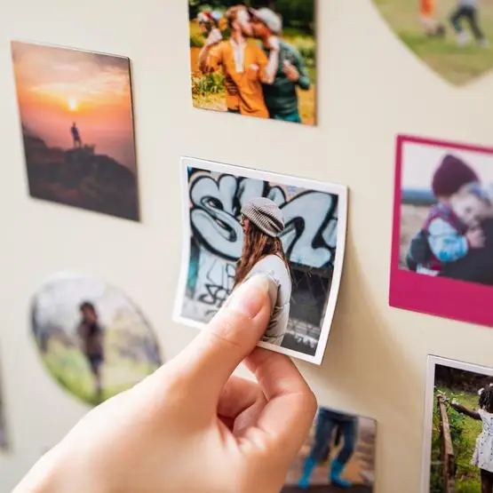 Magnets - Image 4